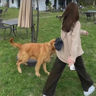 阵头